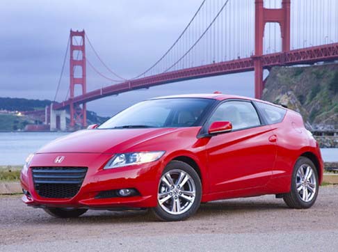 0810crz1.jpg
