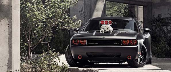 Modern Muscle