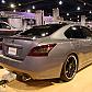 sema491